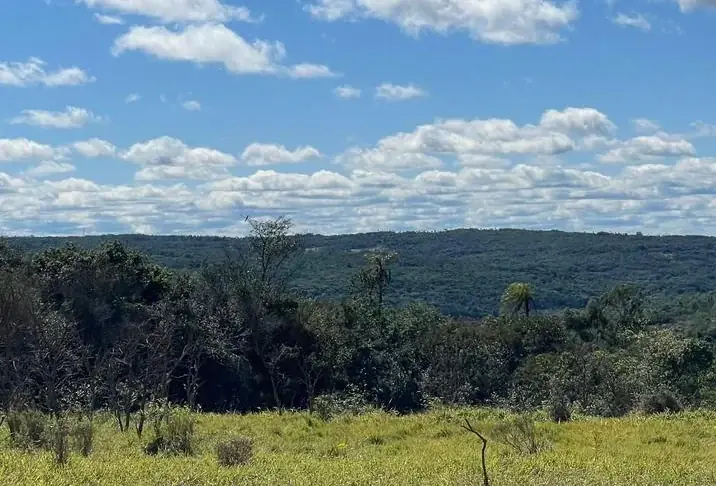 Campo 10 ha con vistas en Piribebuy | 25-acre land 1h45 from Asunción - Image 10
