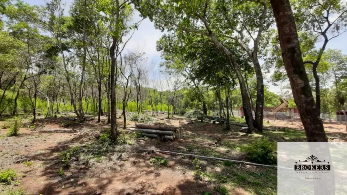 26m² Lot for Sale in San Bernardino - Image 4