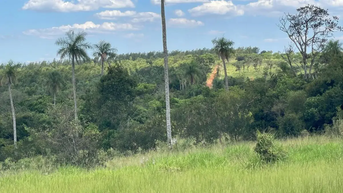 Campo 10 ha con vistas en Piribebuy | 25-acre land 1h45 from Asunción - Image 6