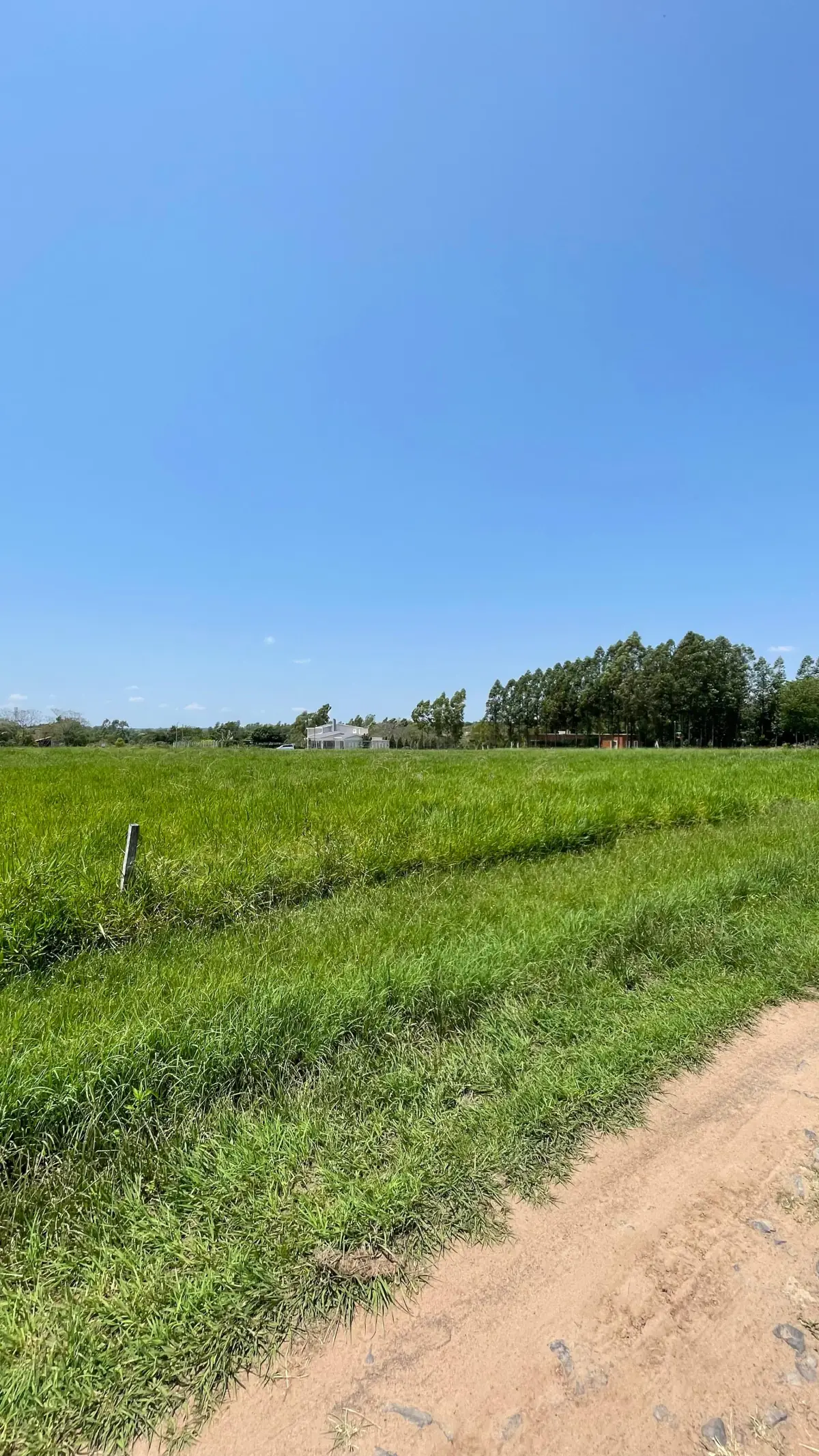Vendo hermoso terreno en Surubi'i 🌳