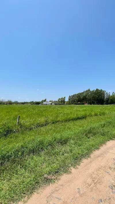 Vendo hermoso terreno en Surubi'i 🌳