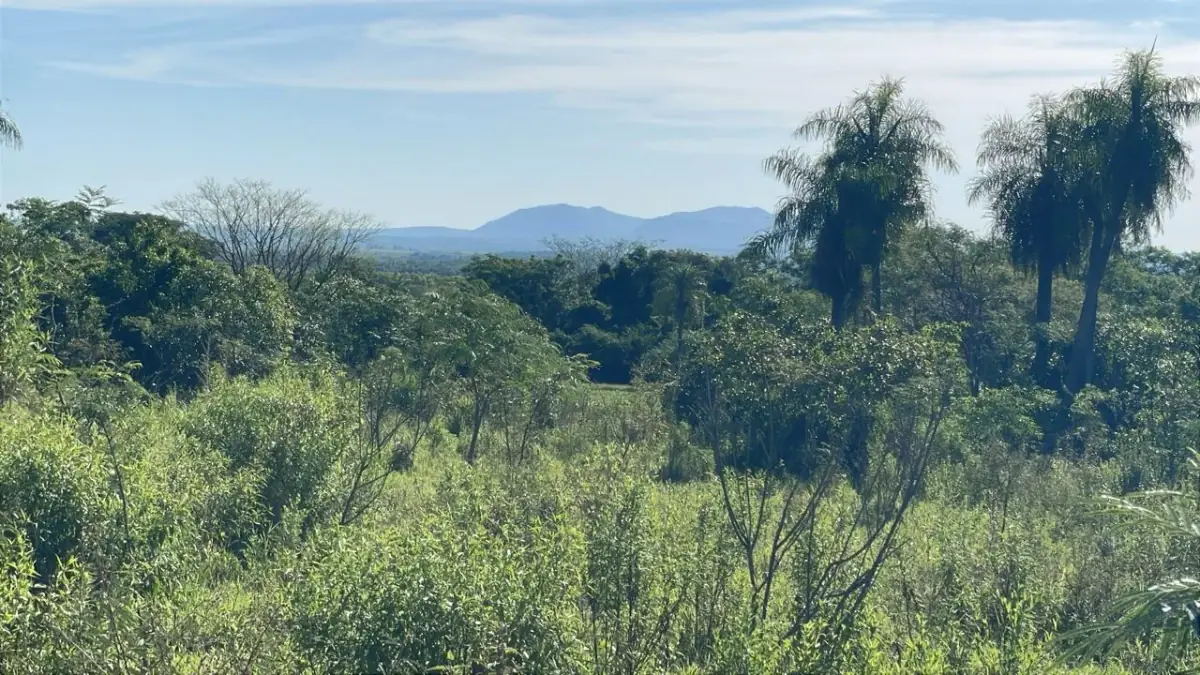 Campo de 8,9 ha en Caballero | 22-acre farm 2 hours from Asunción - Image 14