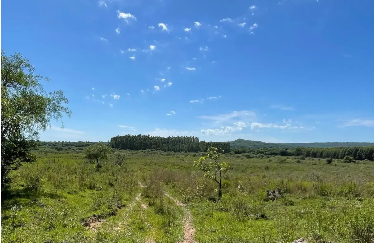 VENDO 9 HECTAREAS EN ATYRA 🍃🌳  📍A 4 km del casco urbano - Image 2