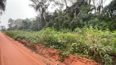 20-Hectare 49.4 Acres Country Estate in La Colmena