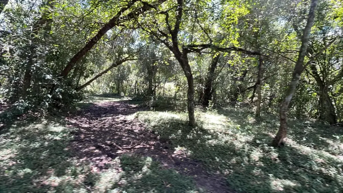 17,7 ha 44-acre farm with two streams & pond | 2 arroyos en Sapucai - Image 12