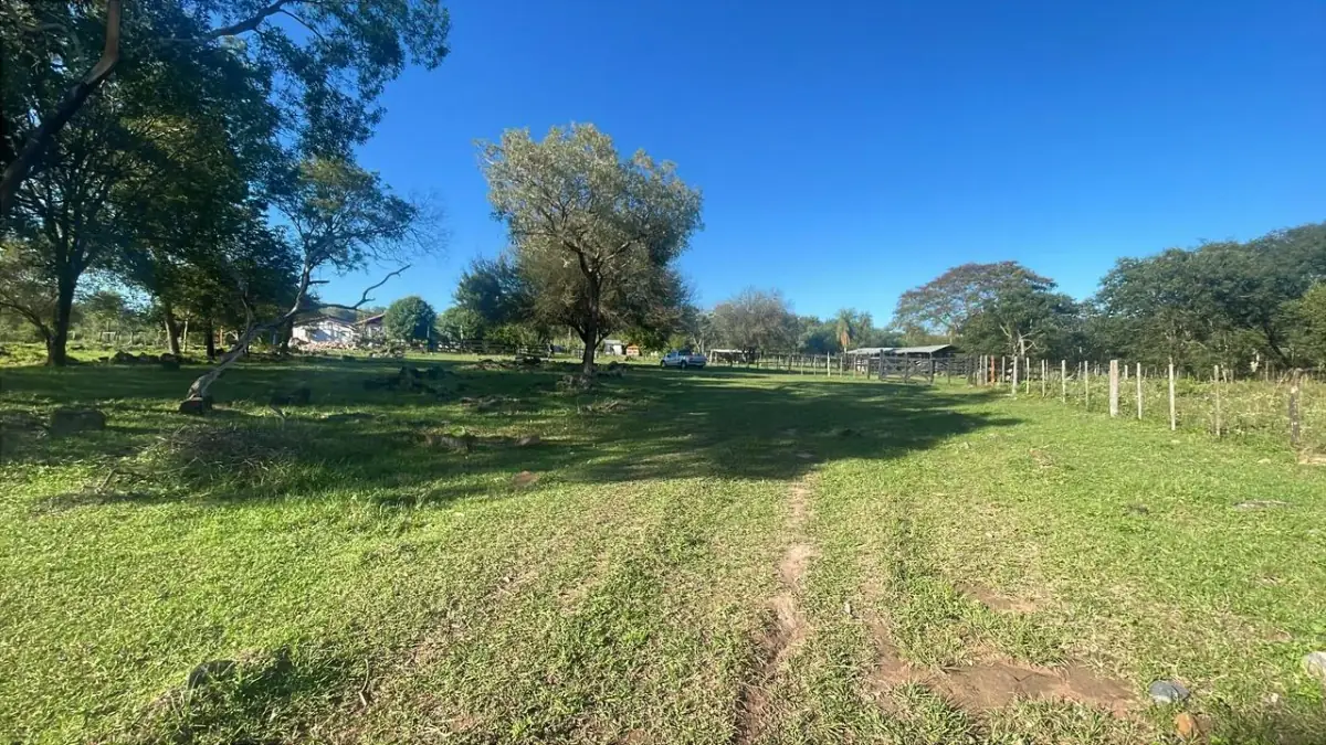 114hectare 282acre cattle ranch with a stream in Caapucu, Paraguari - Image 3