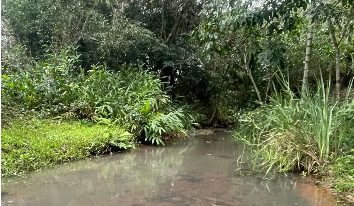 Propiedad de 7 hectáreas en Atyra 🍃🌳☀️ con cascada - Image 13