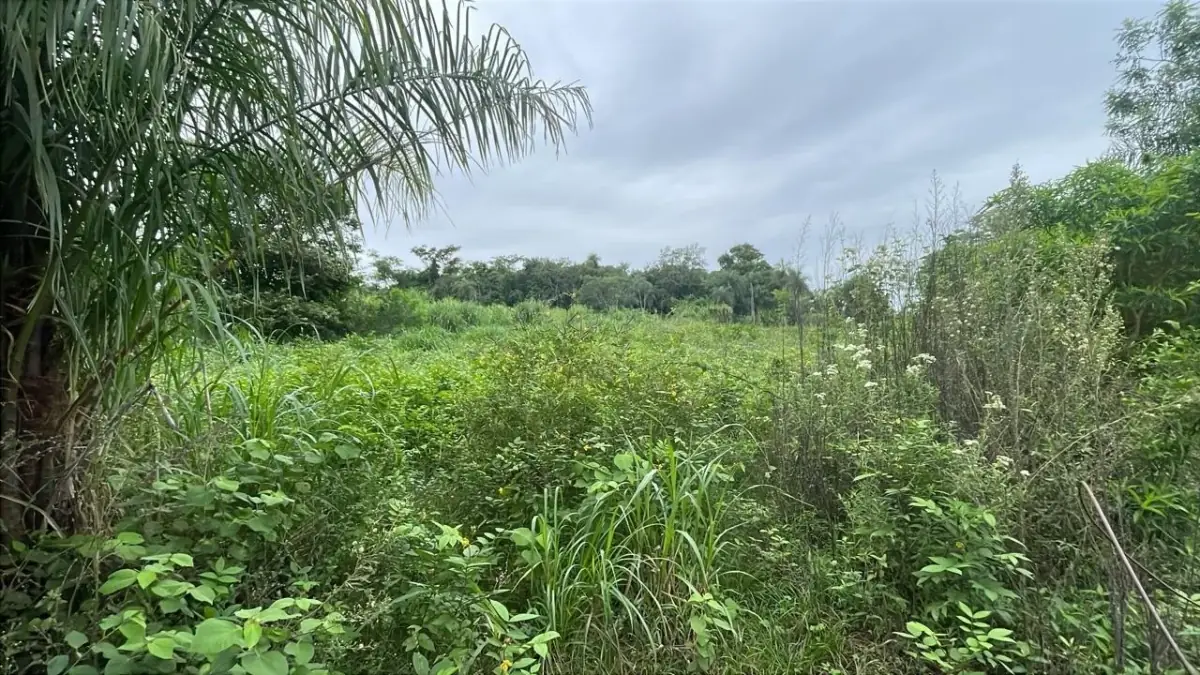 Inversión Agropecuaria en Paraguay: 90 Ha en Acahay con arroyo - Image 13