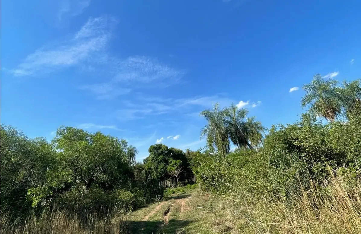 VENDO HERMOSA PROPIEDAD EN EMBOSCADA 20 hectareas A 3 km de la ruta - Image 3