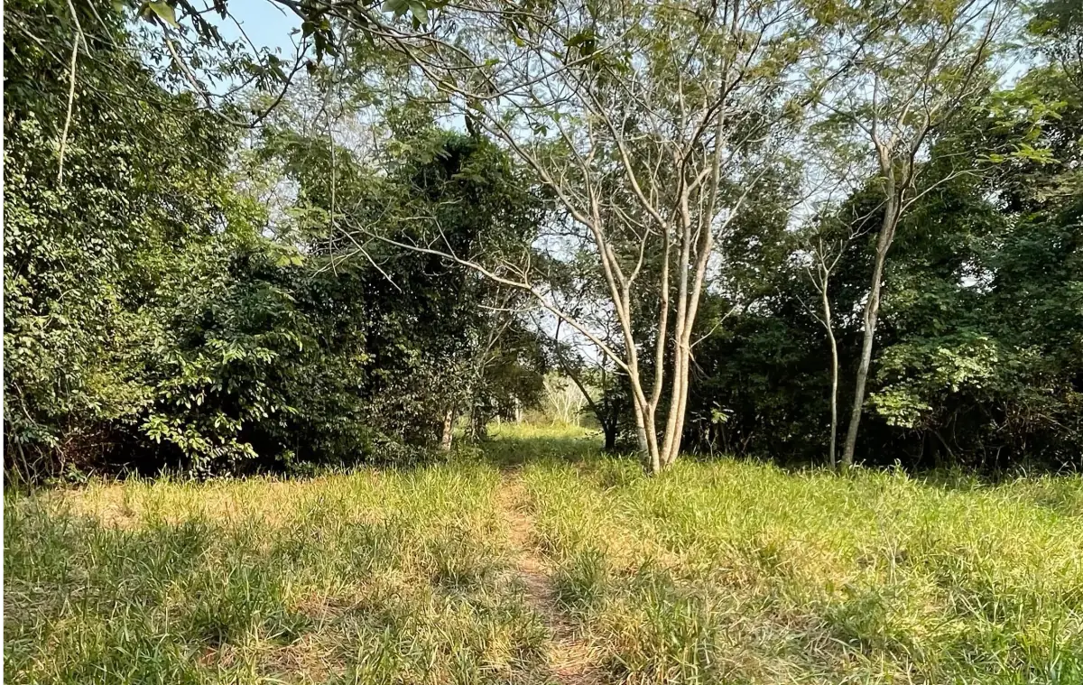 Vendo 5 hectáreas en Arroyos y Esteros 🤩 📍Zona San Antonio - Image 5
