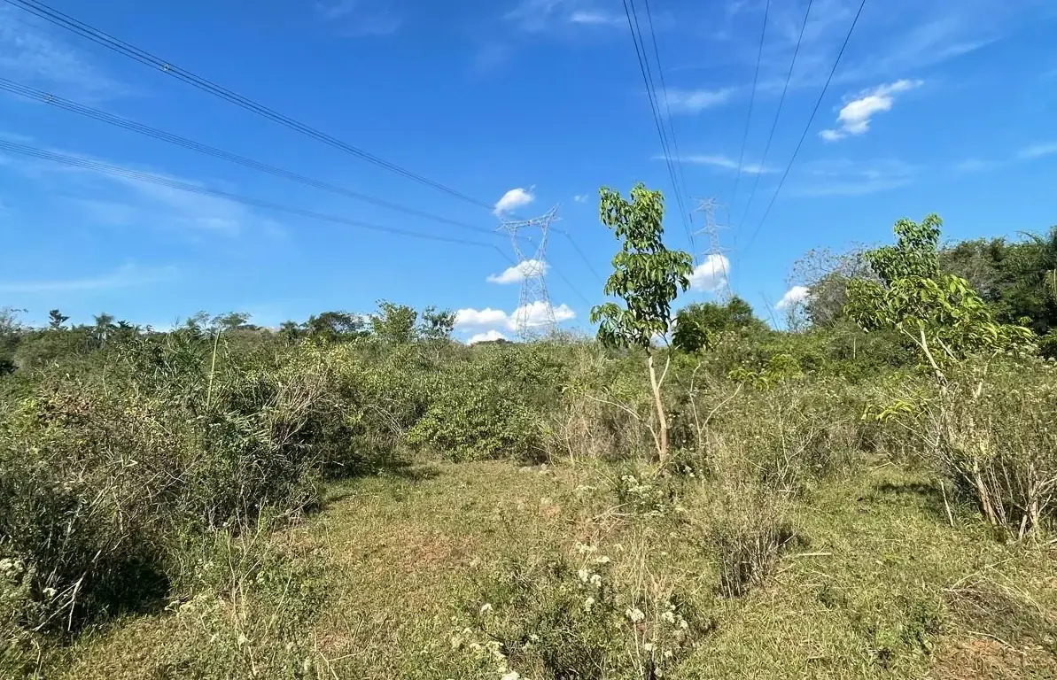 VENDO HERMOSA PROPIEDAD EN EMBOSCADA 20 hectareas A 3 km de la ruta - Image 13