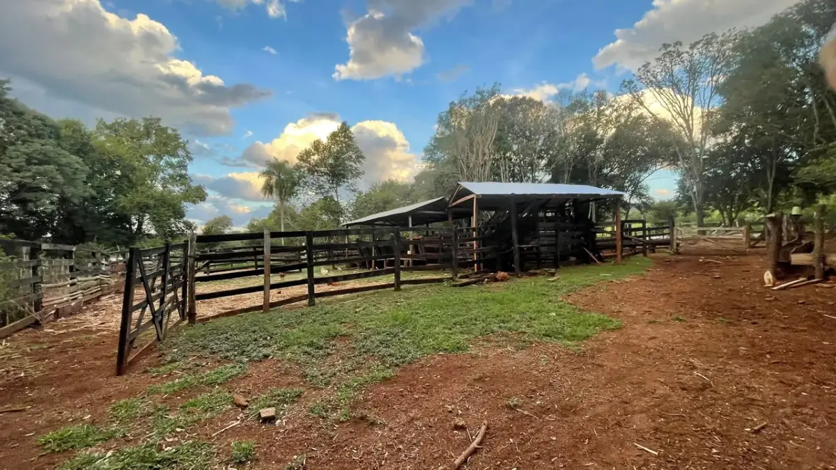 Finca en venta 43 hectáreas con manantial y arroyo en Independencia - Image 2