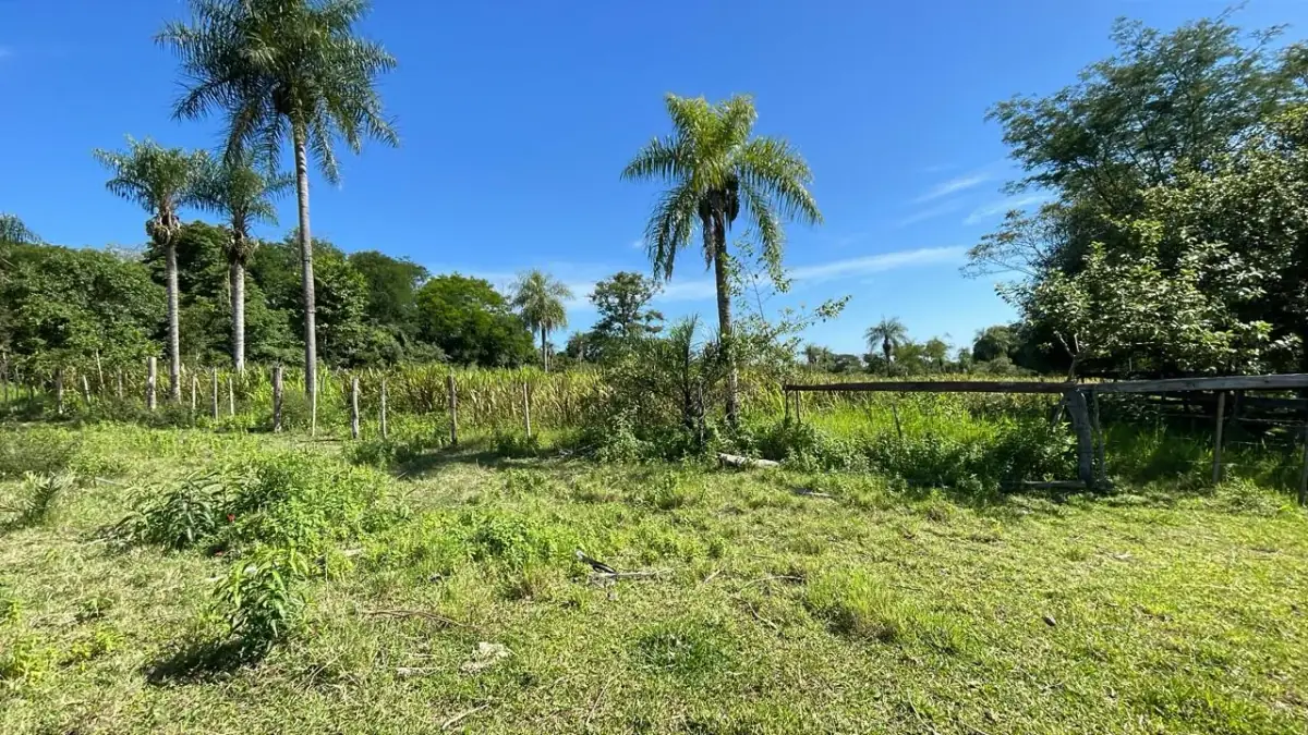 Campo de 8,9 ha en Caballero | 22-acre farm 2 hours from Asunción - Image 12