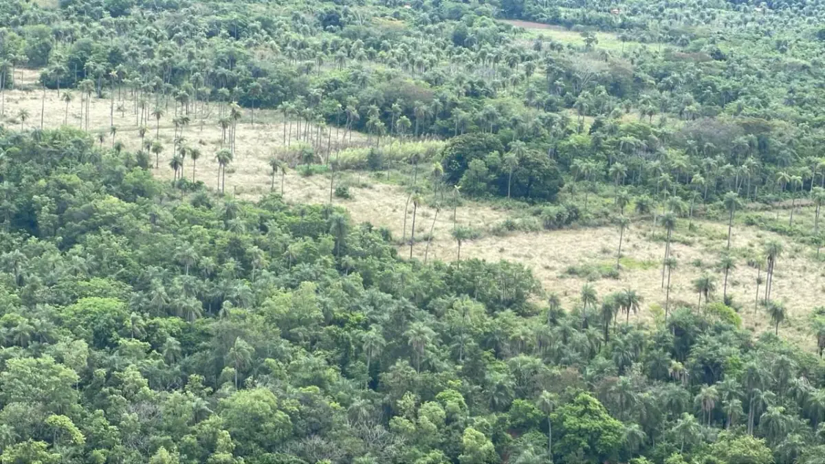 Vendo 14,6 hectáreas en Caacupé con vista al Cerro Kavaju