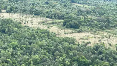 Vendo 14,6 hectáreas en Caacupé con vista al Cerro Kavaju