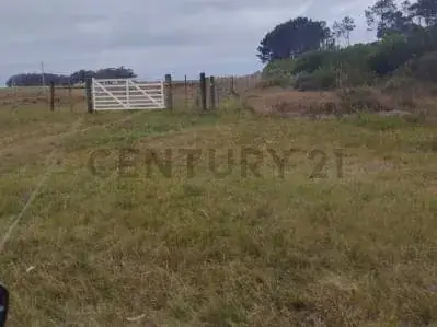 Terreno de 500m² en Venta en La Esmeralda - Image 4