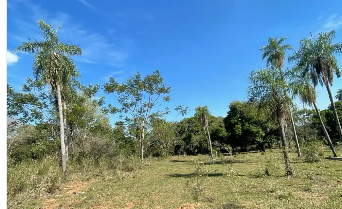 VENDO HERMOSA PROPIEDAD EN EMBOSCADA 20 hectareas A 3 km de la ruta - Image 12