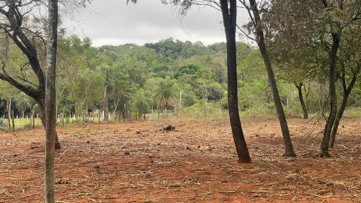 Vendo 9 hectáreas Quiindy a 2,5 km de la ruta 1 - Image 3