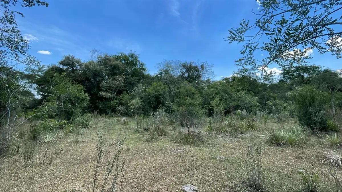 17,7 ha 44-acre farm with two streams & pond | 2 arroyos en Sapucai - Image 6