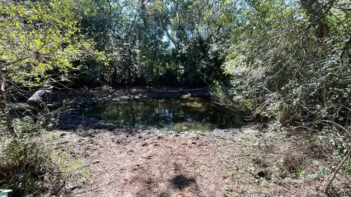 114hectare 282acre cattle ranch with a stream in Caapucu, Paraguari - Image 15