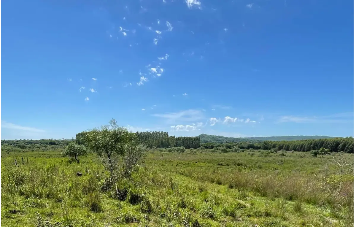 VENDO 9 HECTAREAS EN ATYRA 🍃🌳  📍A 4 km del casco urbano - Image 9