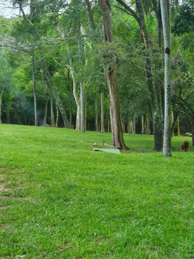 Terreno en Venta en Barrio Centro, Caacupé