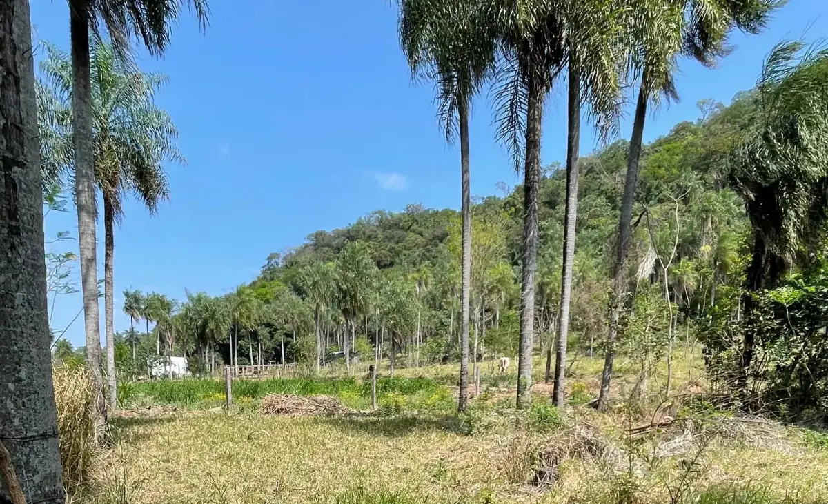 8.6 Hectares/21.2 acres Caacupé Land Agriculture & Fish Farming
