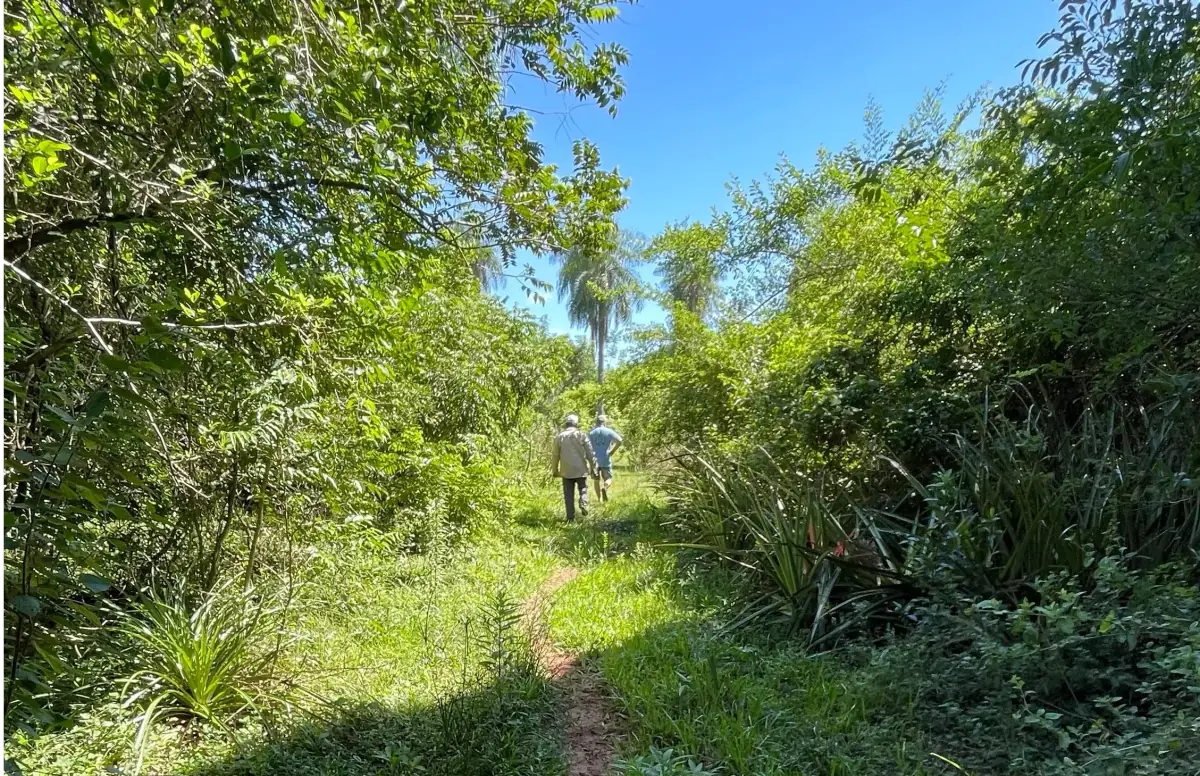 VENDO 9 HECTAREAS EN ATYRA 🍃🌳  📍A 4 km del casco urbano - Image 14