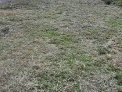 Terreno de 480m² en Venta en Jhugua Jhu, Ypacaraí