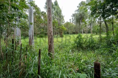 Terreno de 1.000m² à Venda em San Bernardino