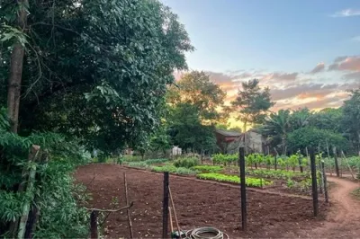 362m² Land for Sale in San Miguel, Presidente Franco