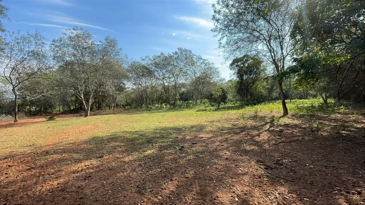 Vendo propiedad de 22 hectáreas en Tobati ⛰️🪵🧱🌱 - Image 2
