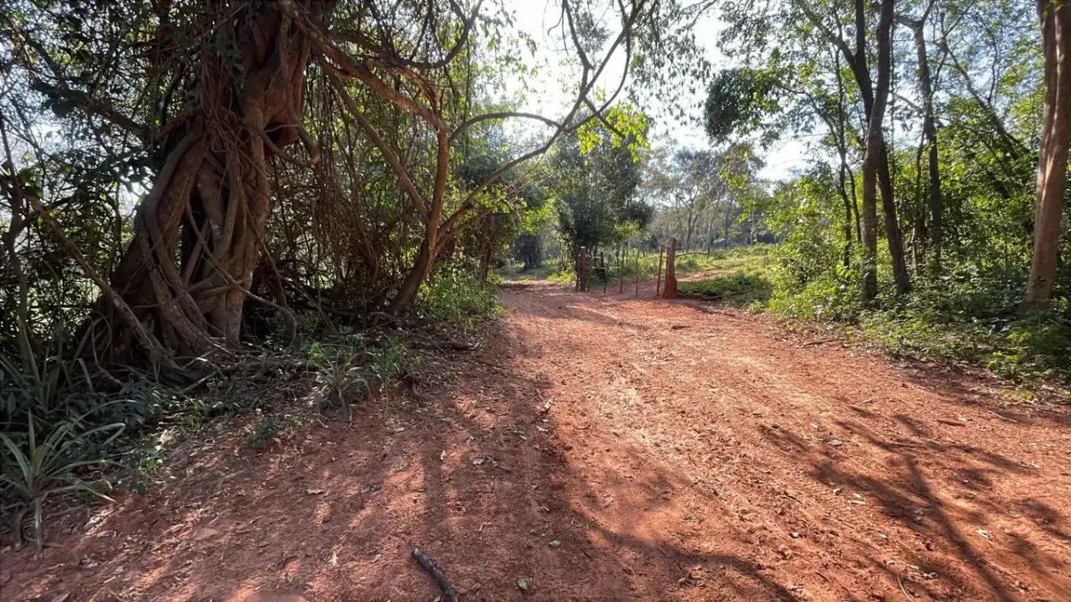 Vendo propiedad de 22 hectáreas en Tobati ⛰️🪵🧱🌱
