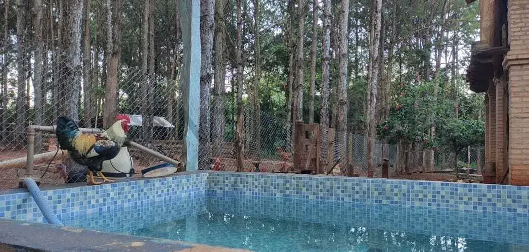 5.73m² Land for Sale in Ciudad de Arroyo Pora-Sub Urbano - Image 14