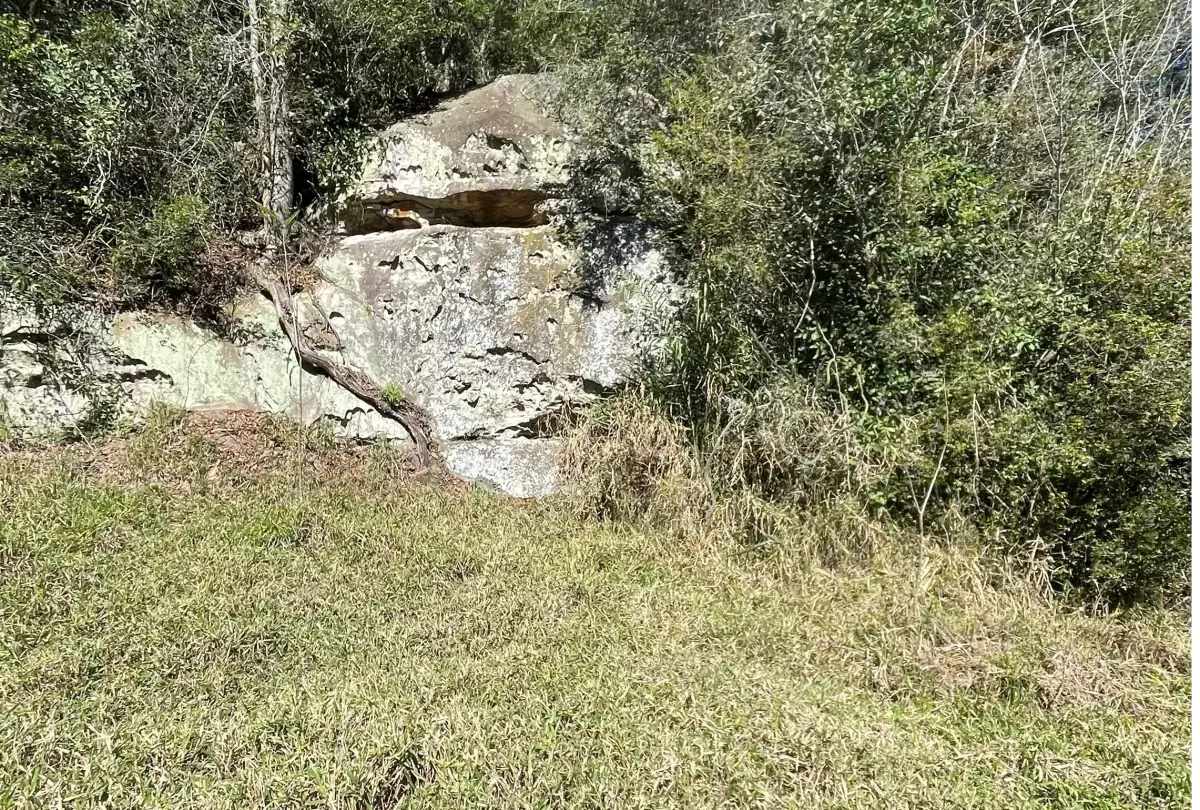 Vendo 12 hectáreas en Piribebuy con cerro y naciente - Image 7