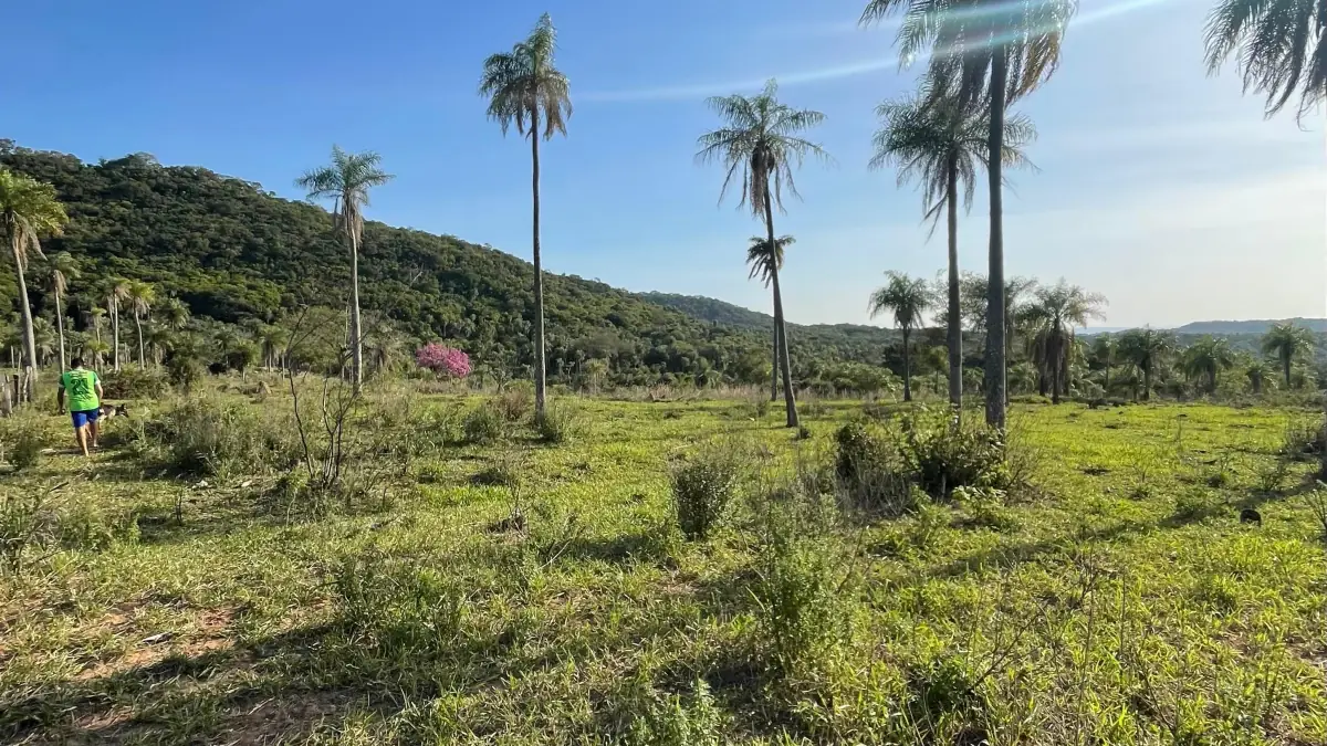 Vendo 20,3 hectáreas en Caacupe, Cordillera con agua y cerro - Image 9