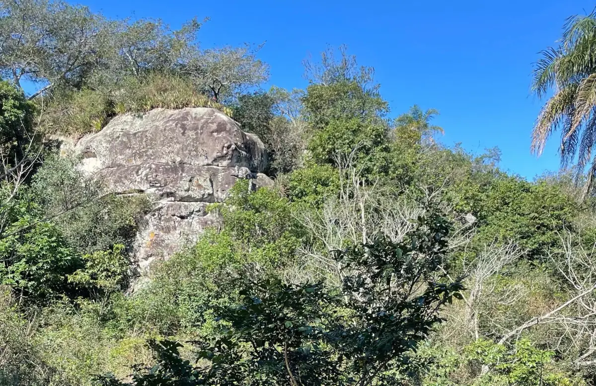 Vendo 12 hectáreas en Piribebuy con cerro y naciente - Image 15