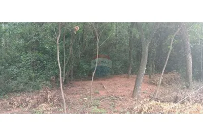 Terreno de 2,100m² en Venta en Caacupé