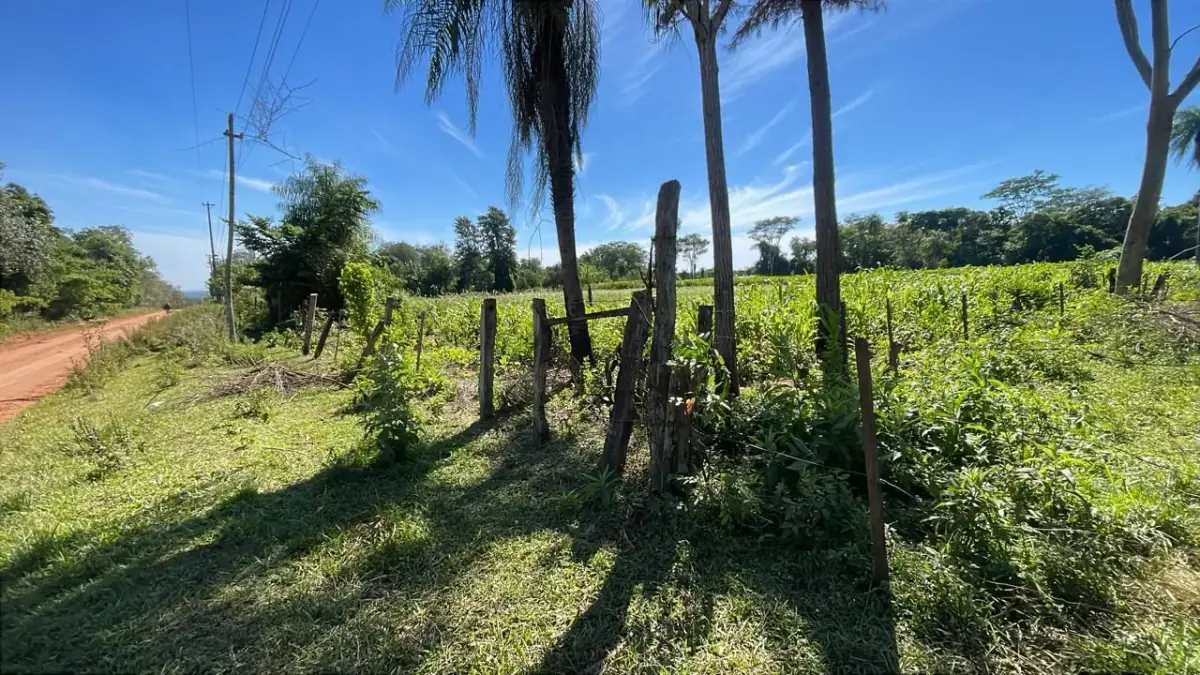 10-Hectare 24.7-acre flat terrain Farm in San José de los Arroyos - Image 2