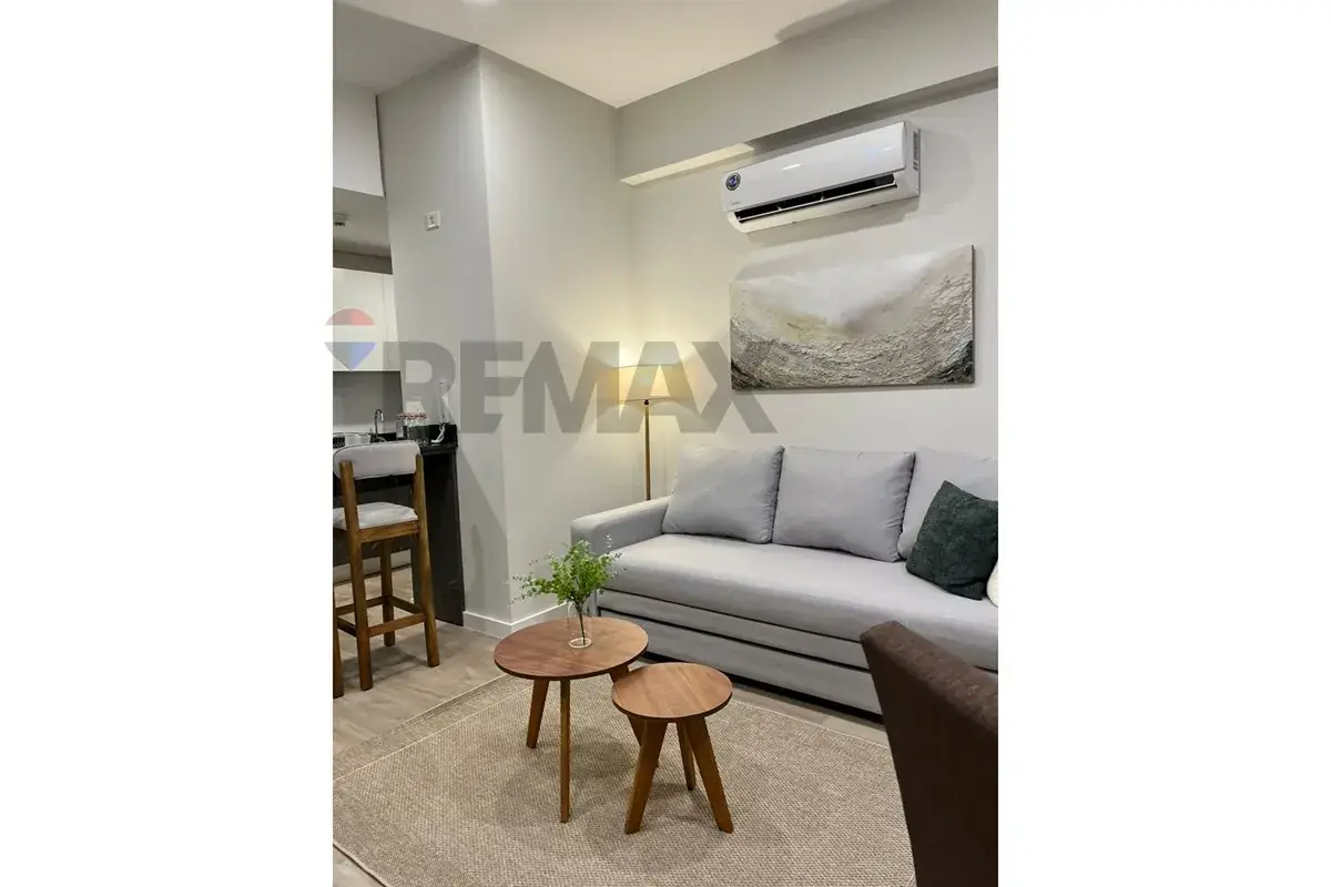 Apartamento de 1 Quarto à Venda em Las Lomas (Carmelitas), Assunção - Image 7