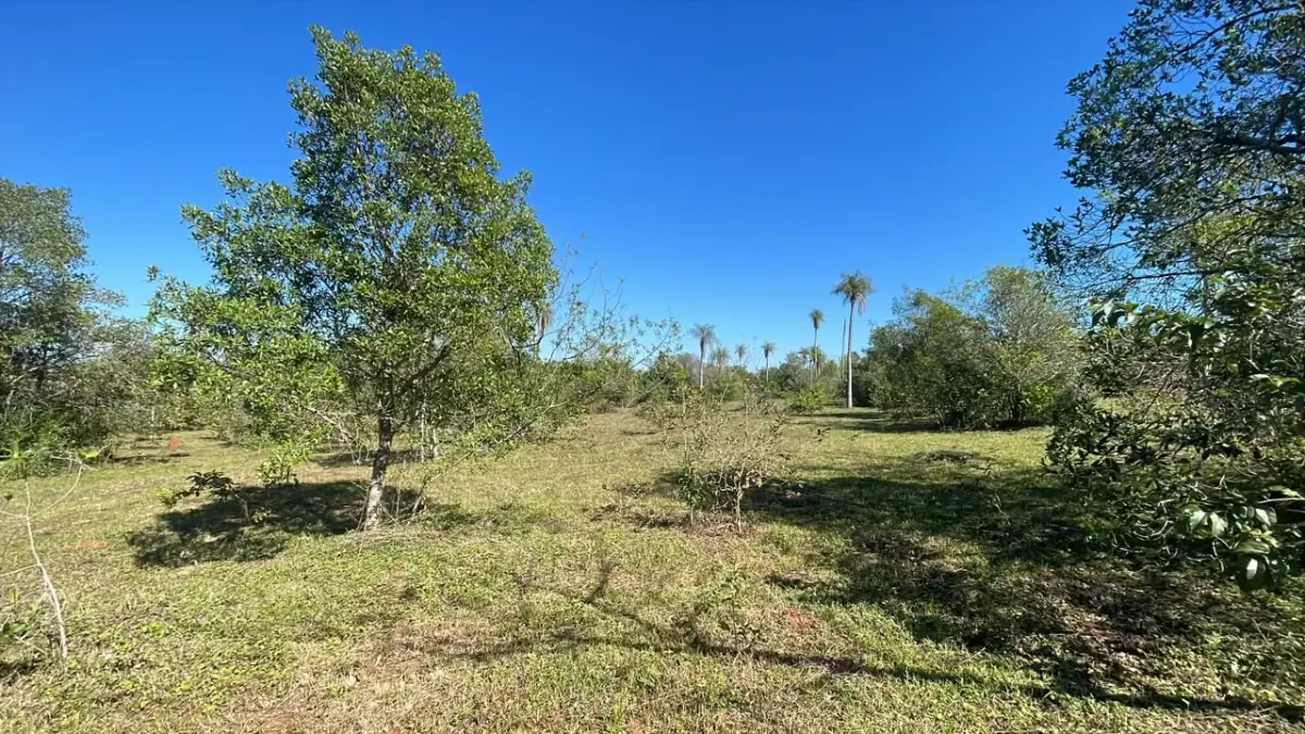 6 Hectareas en Carapeguá – Ideal Country Land (Crypto & USDT Accepted) - Image 13