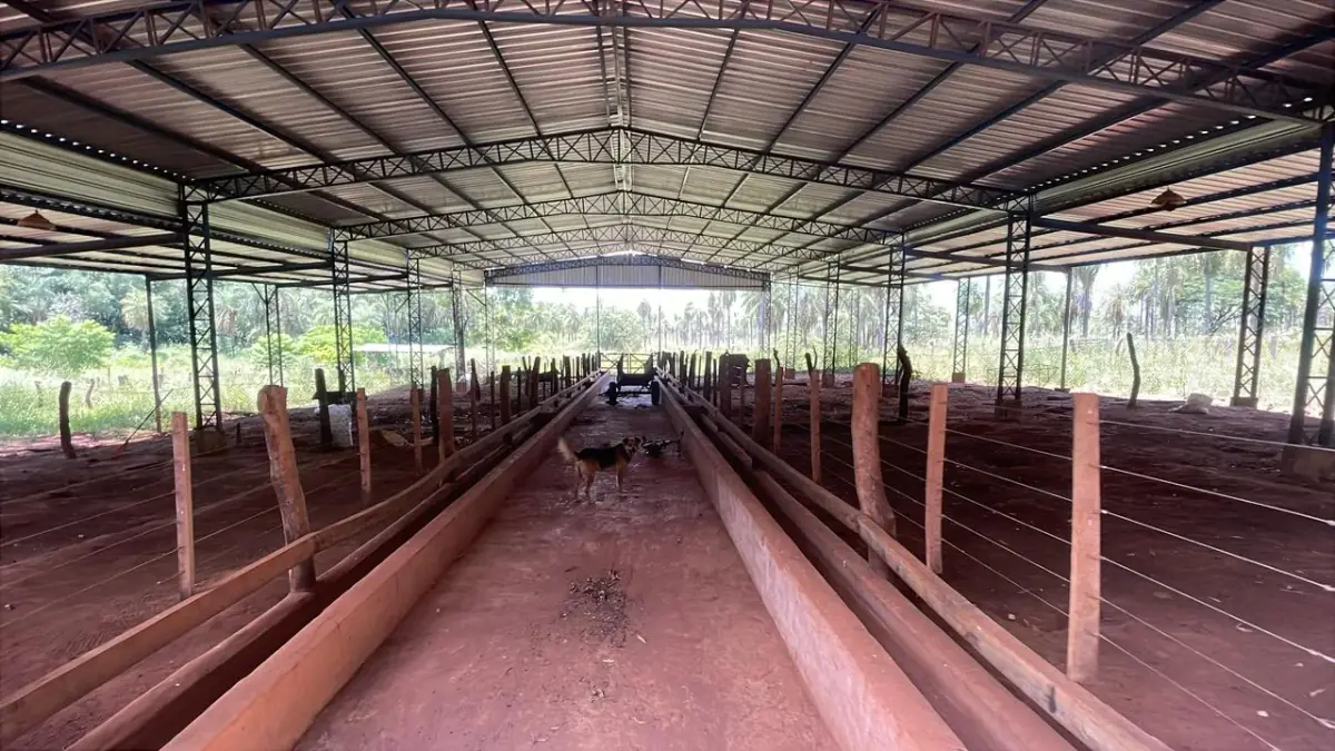 50-Hectare/123.5 Acres Piribebuy Livestock & Intensive Feedlot Farm