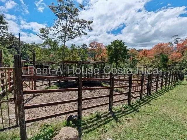 MLS-26-1444 Land of 644,346m² for Sale in Murcia, Turrialba - Image 3