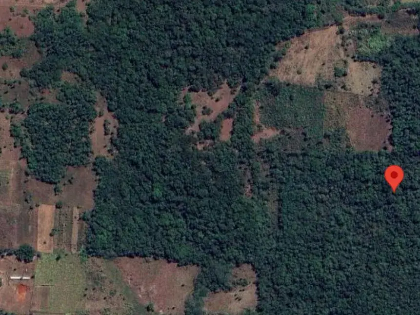 80,000m² Land for Sale in Caazapá
