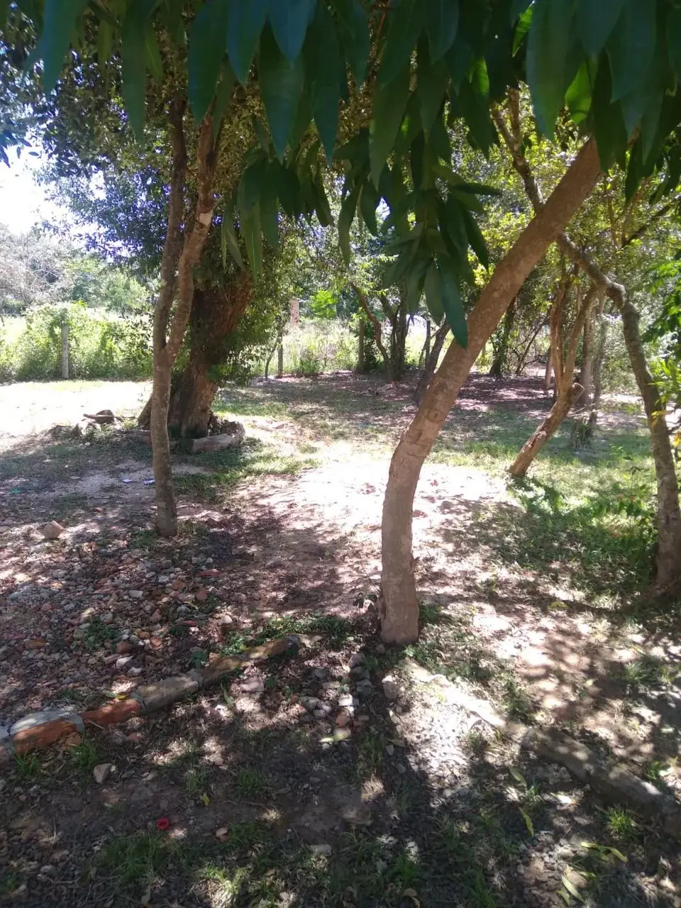 390m² Lot for Sale on Marista Street, Coronel Oviedo - Image 3