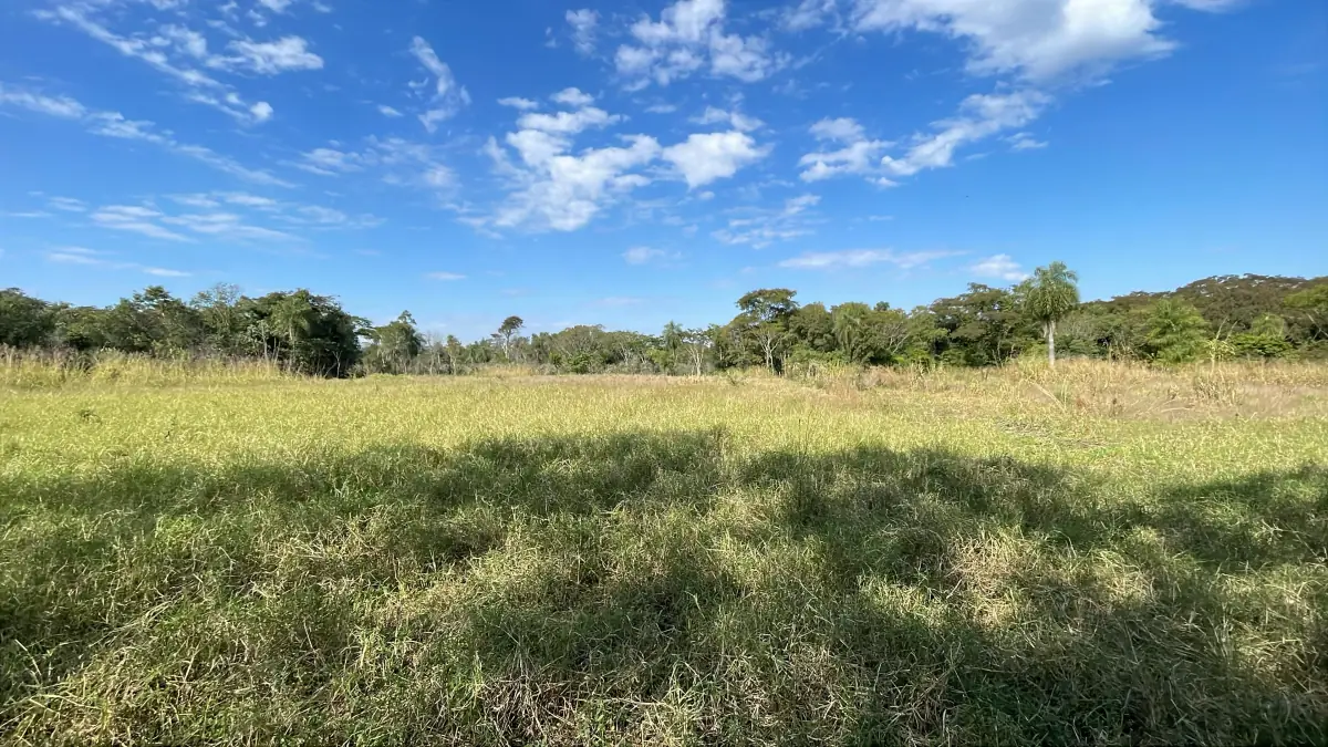 3-Hectare 7.4-acre Farm with Pasture & Forest in Caraguatay - Image 3