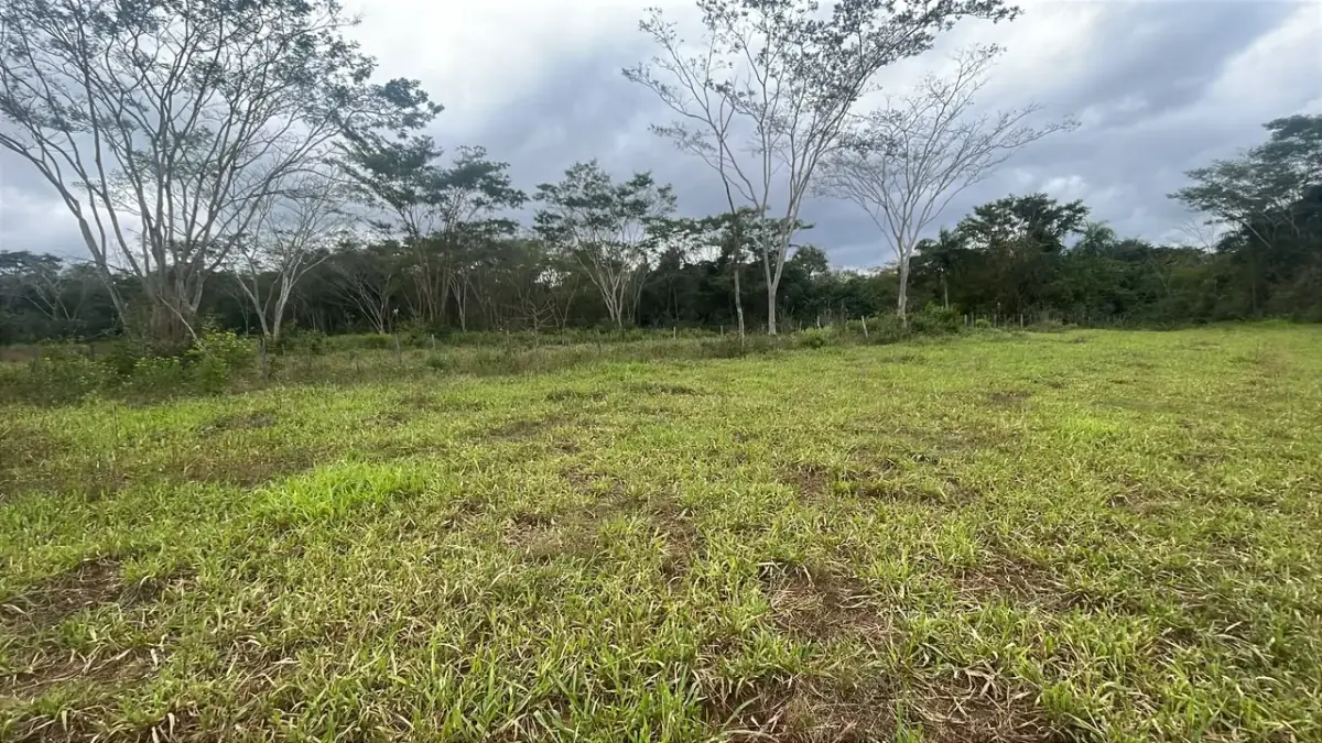 6.5-Hectare 16-acre Farm / Land for Sale in Ybycuí - Image 7