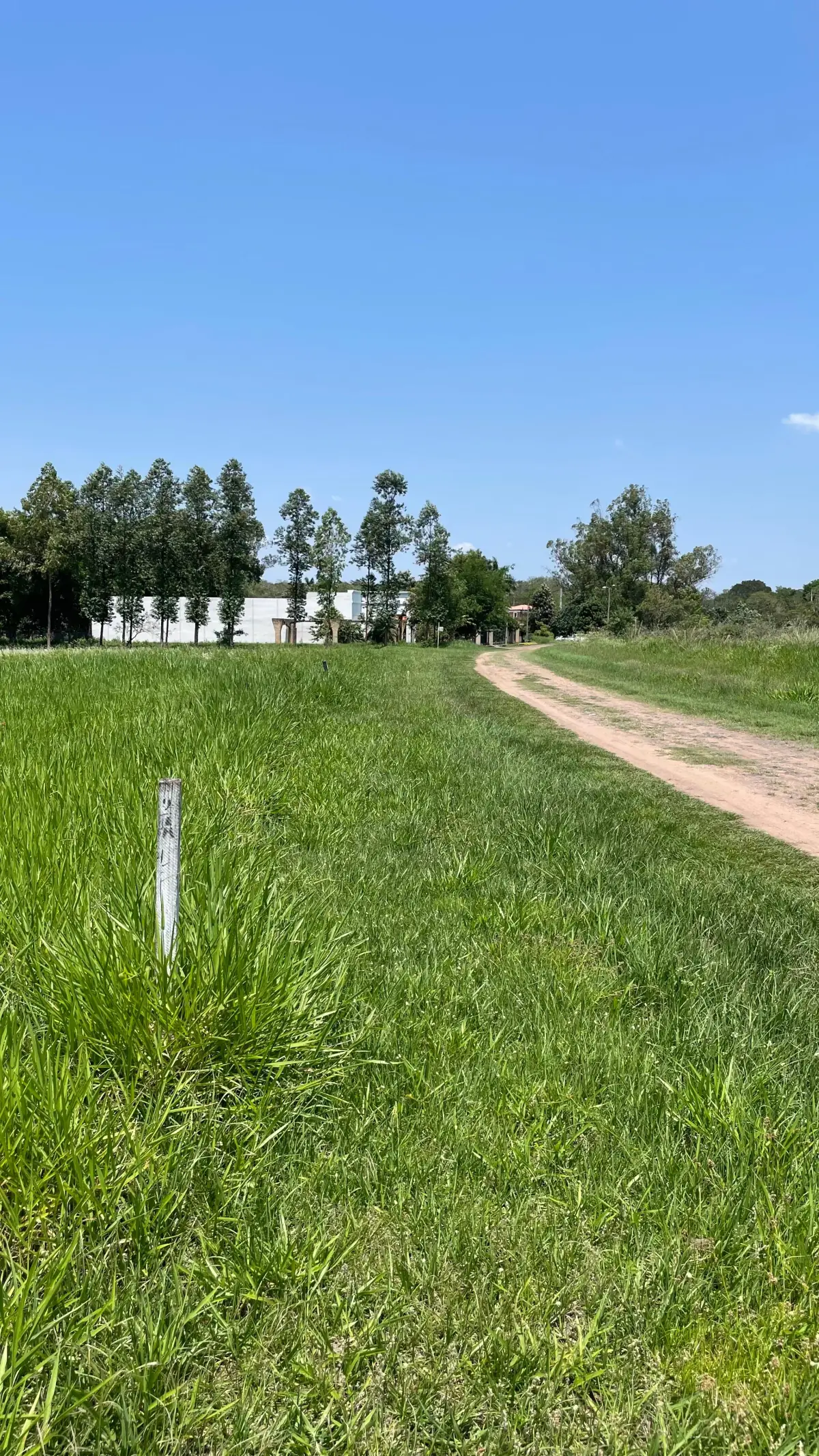 Vendo hermoso terreno en Surubi'i 🌳 - Image 4