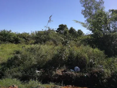 6.63m² Lot for Sale in Limpio