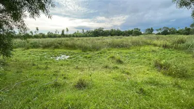 Vendo 88 hectáreas en Ybycui con casa y 21 hectáreas de eucalipto